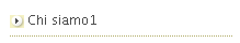 Chi siamo1